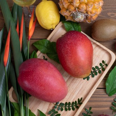 Premium_mango's profile picture. 純国産石垣島のマンゴーブランド「プレミアムマンゴー ISHIGAKI ISLAND」です！石垣島マンゴーの濃厚な甘み🥄🥭と肉厚な果肉。販売開始はアカウントフォローしてね！🎁2025年は予約終了しました！来年の販売開始を知りたい方はフォローしてね！