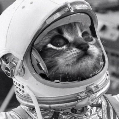 doctorsister's profile picture. 