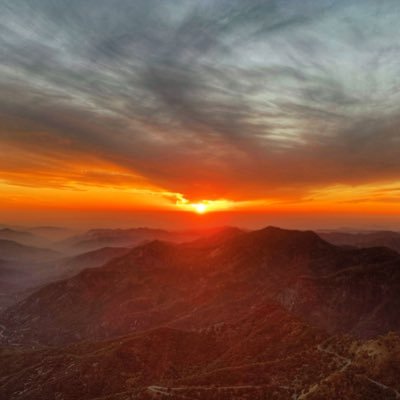 cognitiveforest's profile picture. Consciousness exploration is a human right | Opinions all my own