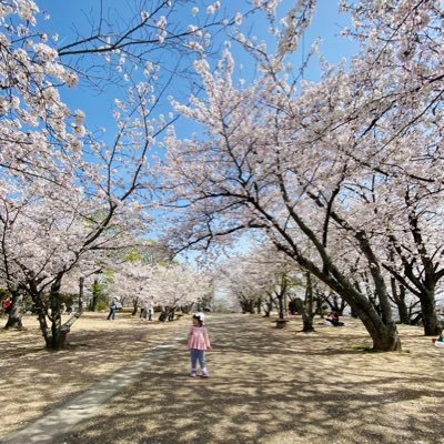 若年性認知症の母と癌の父を見送りました！長い介護生活が終わってやっと自分のターン！元サレ妻！ステップファミリー！24小受！夫ASDとADHD診断あり！フォローお気軽にm(__)m