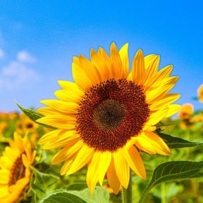 noir_lune_cheva's profile picture. 日々 とりとめなく呟きます 使い方を今一つ理解していないので 失礼があったらごめんなさい
好きなもの 歌舞伎.読書(BL含).将棋