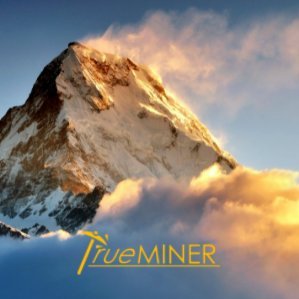 trueMINERSoftw1 Profile Picture