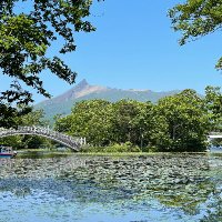 大沼公園お天気情報(大沼観光案内所) (@onumaweather) 's Twitter Profile