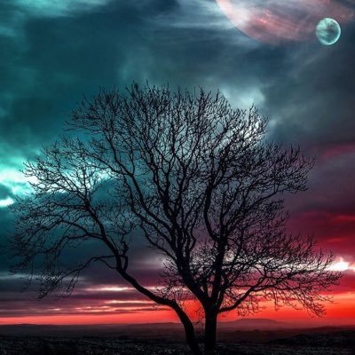 Alex_maldonad6's profile picture. I really don't need anyone to back me up when I'm a dynamite 💎, in a Bog package 🎁.. it's what it is. 💞💖