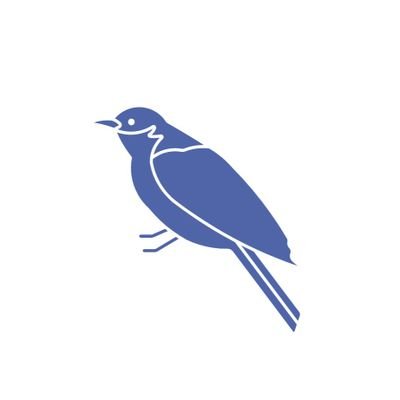 Bluebird Environmental
