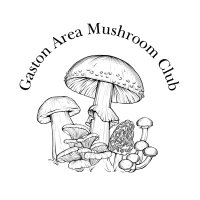 Gaston Area Mushroom Club(@GastonMushroom) 's Twitter Profile Photo