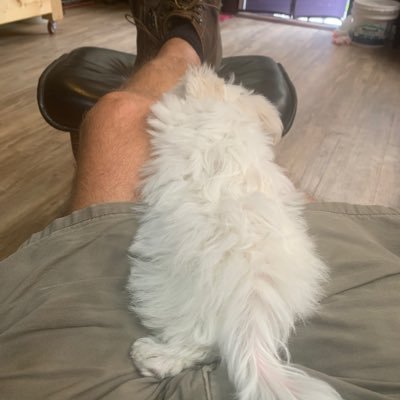 BruceBulluck's profile picture. Potentate Sudan Shriners 2011, Krieghoff, Nighthawk Custom, Wilson Combat,Dan Wesson, Beretta, CZ, Sig., Kamado Joe, pronouns = Maga/Maga