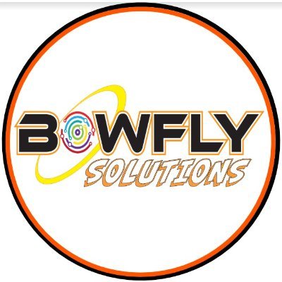 BowflySolutions's profile picture. Information Technology & Security Solutions
