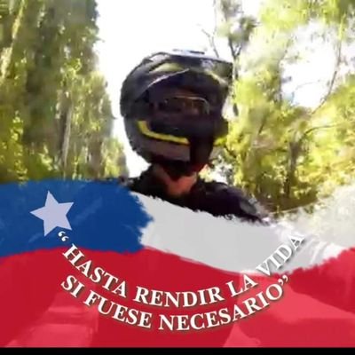 viva Chile