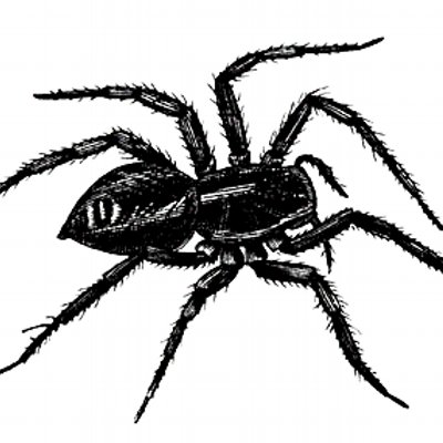 xspyda's profile image
