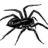 xspyda's profile image