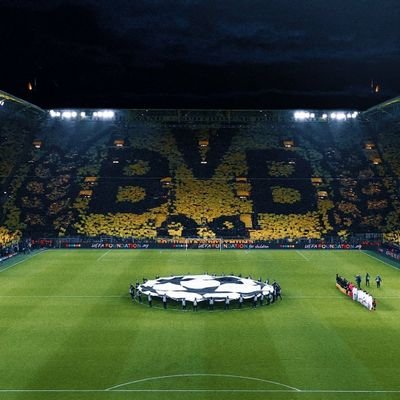LukasBarby's profile picture. BVB💛🖤
Fußball ⚽️💛🖤