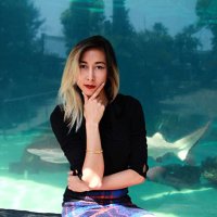 Megan Nicole Dong(@sketchshark) 's Twitter Profile Photo