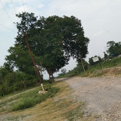 TravellingLove9's profile picture. iam passionate about travelling