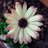 Barbara73706755's profile image