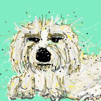 MissTerious (@mscrappinshitz) 's Twitter Profile