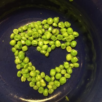 TheSteveOB's profile picture. Father, ad writer, metal sculptor, fan of Boston teams and Los Angeles weather. Creator, ESPN’s “The Rick”.