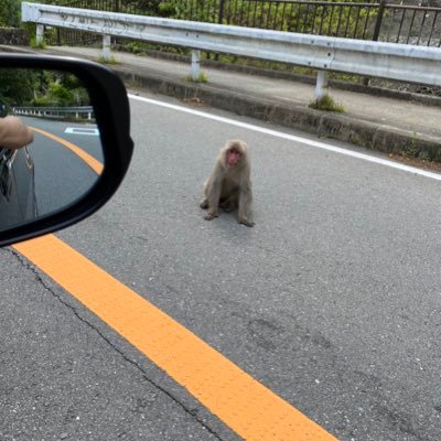 bNR2y33mqoPWanD's profile picture. 