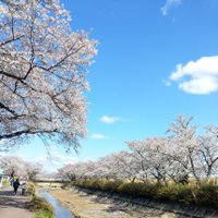 ぱたぽん (@wxgxnibhve53bpe) 's Twitter Profile