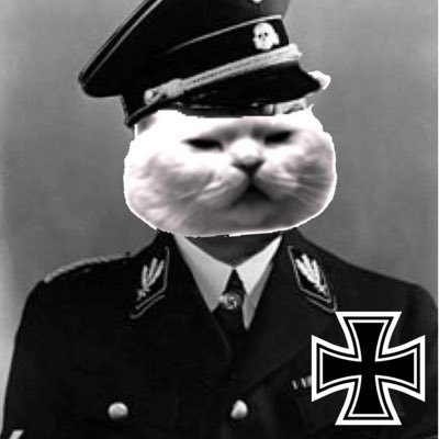 早安R各位