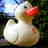 gissiebella's profile image