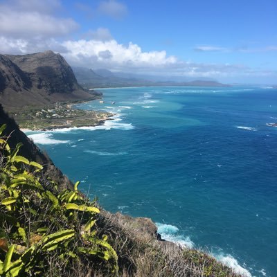Hawaii is home. Be Kind. ❤️All Animals 🐕 Nature. 😷🧘‍♀️      Proud Tutu, BidenHarris, Climate, Dem 💙no dm’s