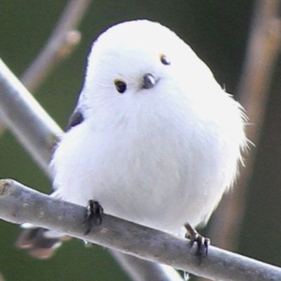 日本人として純粋に日本を愛し護りたい。
心の中には常に大きな日の丸を掲げているハマっ子です。
せっかち・おっちょこちょい・早とちりは御容赦を。