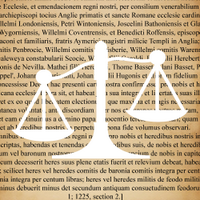 TheStudentLawyer (@student__lawyer) 's Twitter Profile