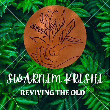 Just a little concerned about the chemicals we take in three times a day
•Reviving The Old •
