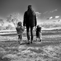 Dimity Ferguson (@dimityhunter) 's Twitter Profile