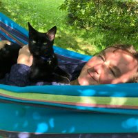 David W-J(@PerfidusAlbion) 's Twitter Profile Photo David W-J(@PerfidusAlbion) 's Twitter Profile Photo