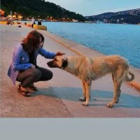 gönül demir (@demir_gonul) Twitter profile photo