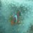 Yossy136u's profile image