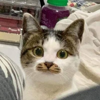 🍉さんのプロフィール画像