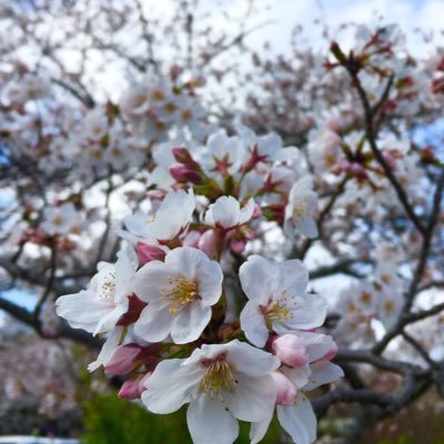 HAr14026518's profile picture. 勉強アカ。技術士二次試験（建設部門、土質及び基礎）挑戦中。 一級土木施工管理、コン技士、簿記2級(R3.12.4)。米国株インデックス投資6年目。 技術士他、資格取得頑張っている方、フォロー失礼します。 フルマラソン3:26:11（2024勝田）。既婚男性です。