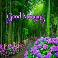 Mani.S Mani.S (@manisma70045708) 's Twitter Profile