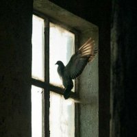 z (@zellaabla) Twitter profile photo