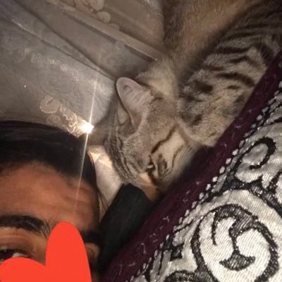 Jss arabe