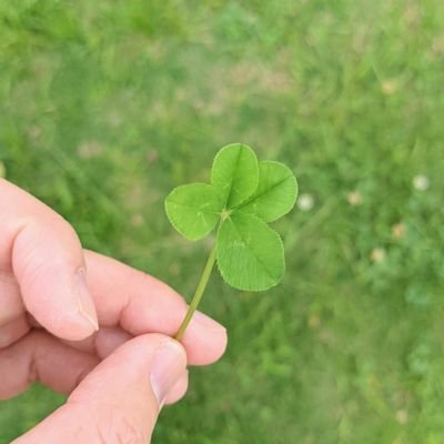 houkiboshi91's profile picture. Wishing for the peaceful future for the elderly. OT(JP), A trainer of international carer /Co-survivor, CW(AUS),着物愛好家