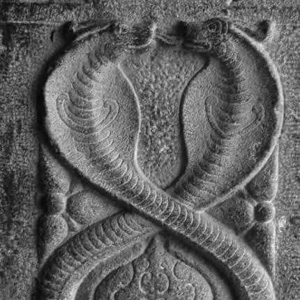 satyam_dharmam's profile picture. 