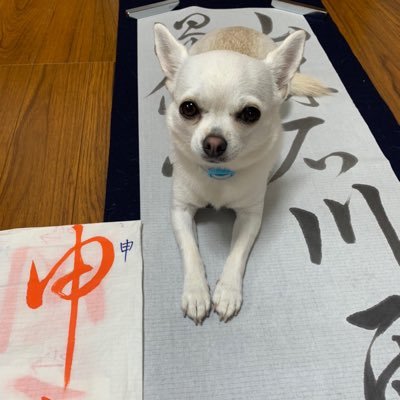 🏡整体院を営んでいます🌈空🐶🌿🌸動植物🐍🐱✈️子供が大好きです💖写真はスマホ撮り📱全て無加工で自分で撮ったものです☺️《フォローは👭仲良くなってからで🐢お願いいたします🙏》