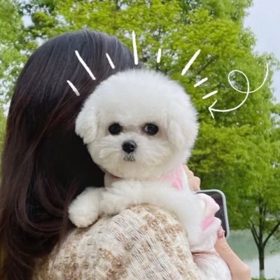 XiaojieLi's profile picture.
