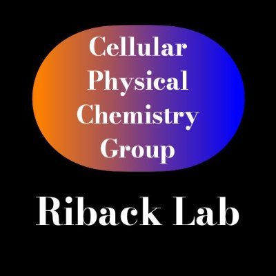 Riback Lab - Cellular Physical Chemistry Group Profile