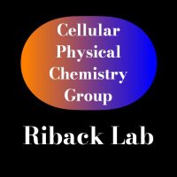 Riback Lab - Cellular Physical Chemistry Group (@ribacklab) 's Twitter Profile