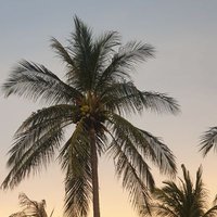 EatingBeats&Bits (@eatingbeatsb) 's Twitter Profile