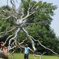 Ashok Srinivasan (@ashoksrini15) 's Twitter Profile