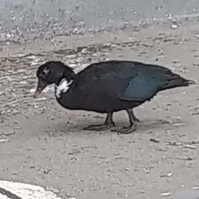 Isa6232's profile picture. Ser mamá