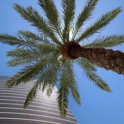 SilvaBoy27's profile picture.
