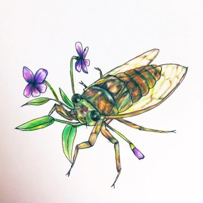 ひぐらしすみれさんのプロフィール画像
