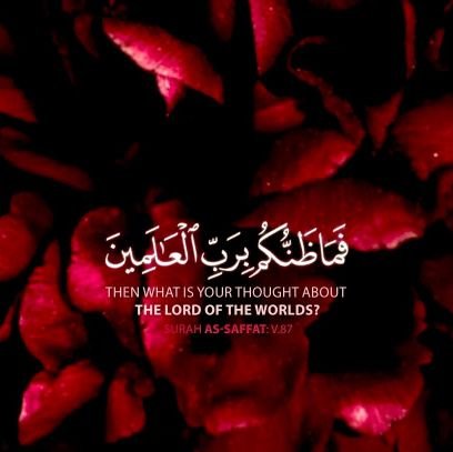 jUteJHw6ZjYyMtV's profile picture. ‏⚔️ نحن قوم أعزن الله باللإسلام ⚔️🗡️فإذ ابتغيناالعزة في🗡️
🏹غيره🏹
🛡️🏇🛡️أذلناالله🛡️🏇🛡️
‏‎‎‎‎‎‎‎‎‎‎‎‎#معكم تكتمل الصورة👉تفاعل 🔺شارك 🔻 تابع🔺